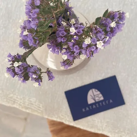 Katastega Tinos *